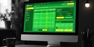 Discover the World of BetWinner Bookmaker